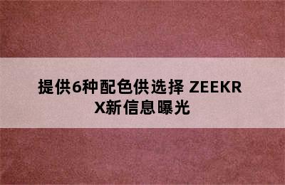 提供6种配色供选择 ZEEKR X新信息曝光